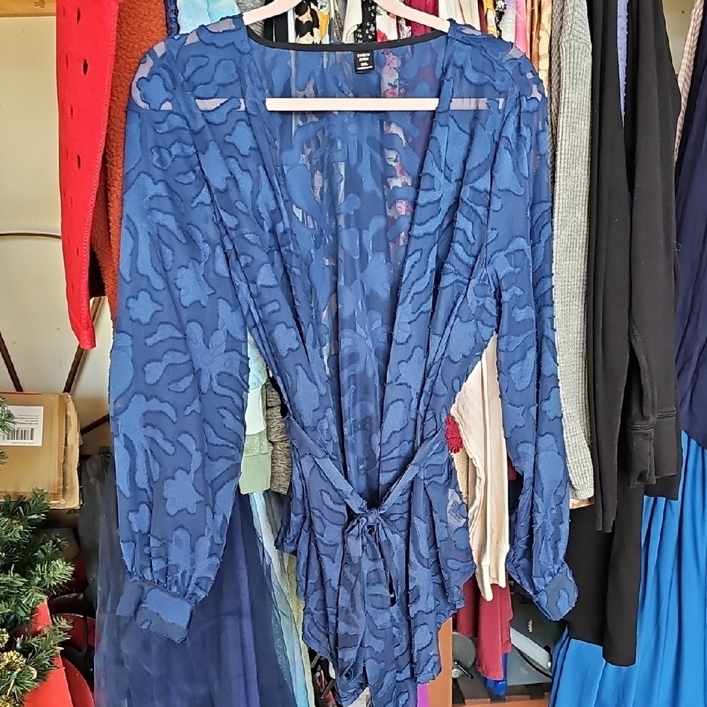 Elegant Blue Blouse